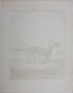 J[ean?]-B[aptiste?] [Oudry?], after. Le Grison. Engraved by Christian Friedrich Fritzsch. 1771.