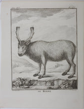 Load image into Gallery viewer, C[lément?]-P[ierre?]  [Marillier?], after. Le Renne. Engraved by Christian Friedrich Fritzsch. 1771.
