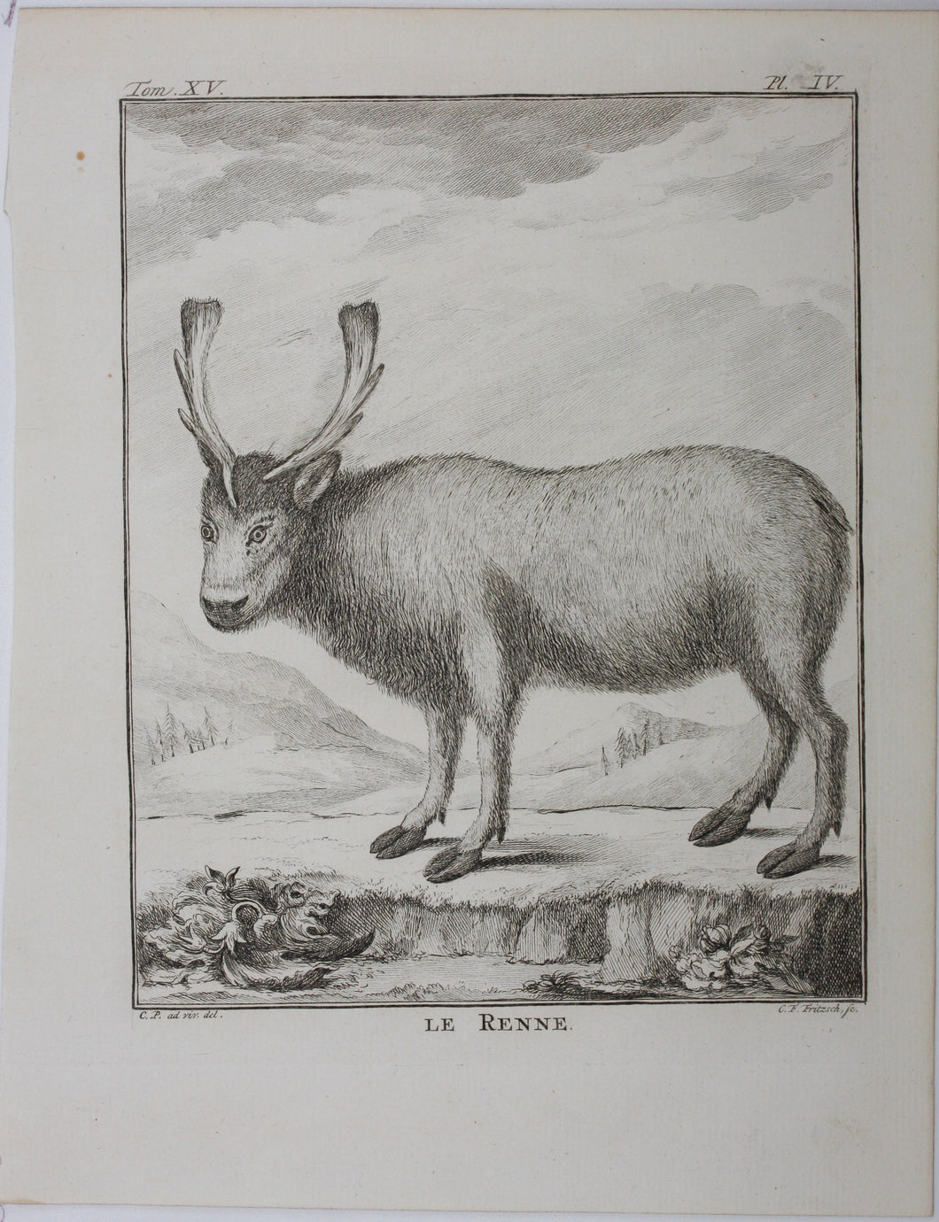 C[lément?]-P[ierre?]  [Marillier?], after. Le Renne. Engraved by Christian Friedrich Fritzsch. 1771.