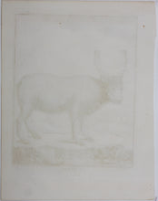Load image into Gallery viewer, C[lément?]-P[ierre?]  [Marillier?], after. Le Renne. Engraved by Christian Friedrich Fritzsch. 1771.
