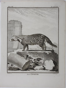 Jacques de Sève, after. La Civette. Engraved by Christian Friedrich Fritzsch. C. 1767.
