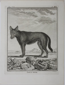 Jacques de Sève, after. Loup Noir. Engraved by Christian Friedrich Fritzsch. 1767.