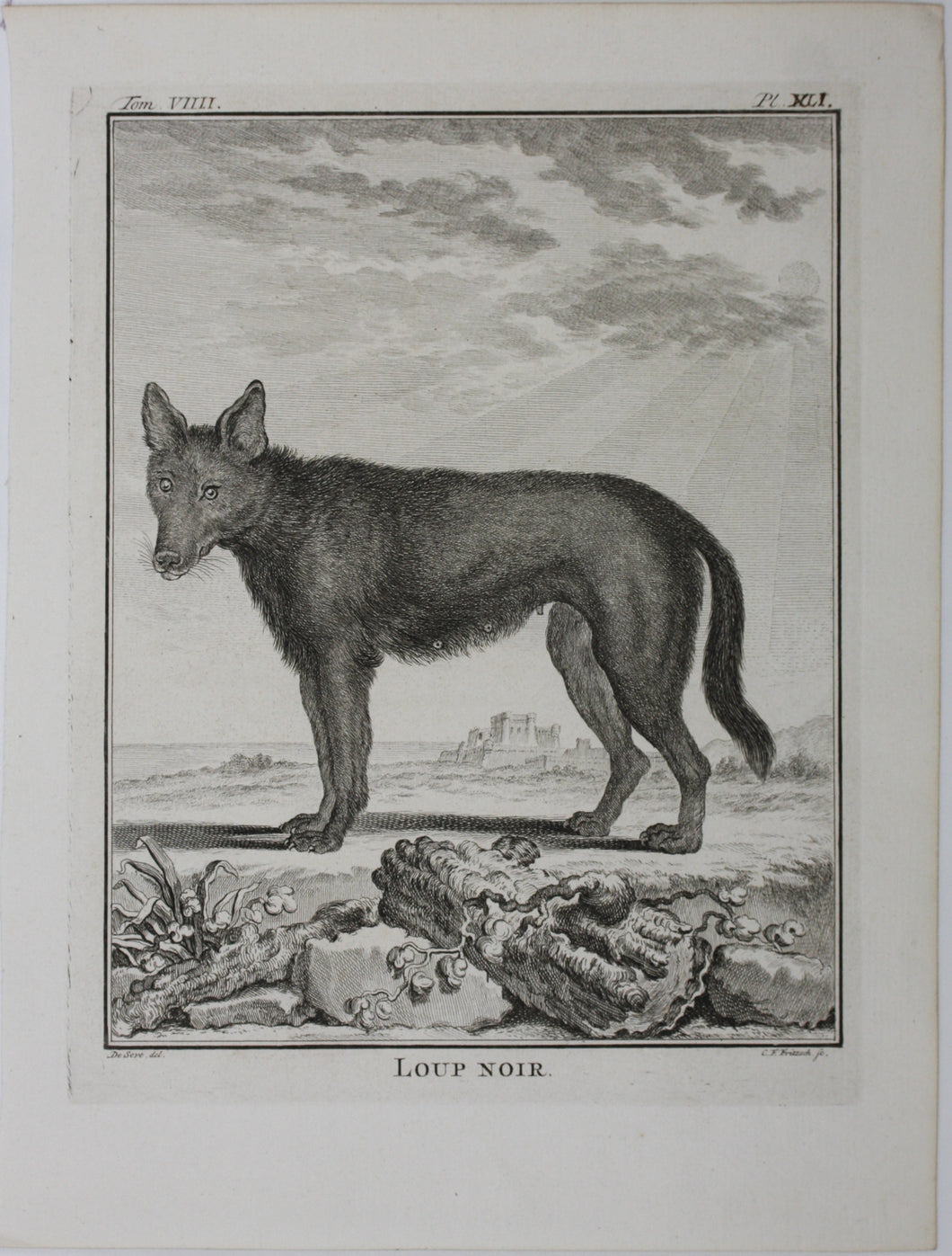 Jacques de Sève, after. Loup Noir. Engraved by Christian Friedrich Fritzsch. 1767.