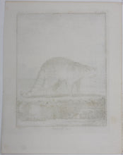 Load image into Gallery viewer, Jacques de Sève, after. Le Raton. Engraved by Christian Friedrich Fritzsch. 1772.
