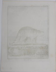 Jacques de Sève, after. Le Raton. Engraved by Christian Friedrich Fritzsch. 1772.