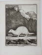 Load image into Gallery viewer, Jacques de Sève, after. Le Furet. Engraved by Christian Friedrich Fritzsch. 1772.
