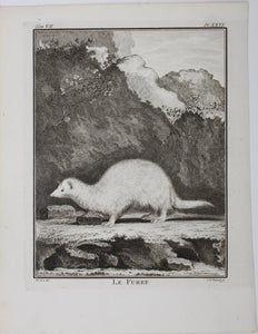 Jacques de Sève, after. Le Furet. Engraved by Christian Friedrich Fritzsch. 1772.