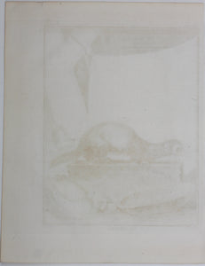 Jacques de Sève, after. Le Putois. Engraved by Christian Friedrich Fritzsch. 1772.