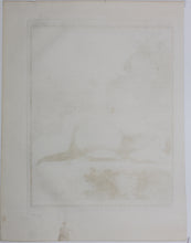 Load image into Gallery viewer, Jacques de Sève, after. Le Furet Putois. Engraved by Christian Friedrich Fritzsch. 1772.
