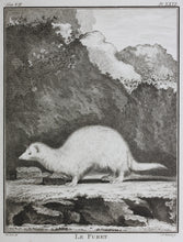 Load image into Gallery viewer, Jacques de Sève, after. Le Furet. Engraved by Christian Friedrich Fritzsch. 1772.
