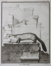 Load image into Gallery viewer, Jacques de Sève, after. La Fouine. Engraved by Christian Friedrich Fritzsch. 1772.
