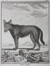 Load image into Gallery viewer, Jacques de Sève, after. Loup Noir. Engraved by Christian Friedrich Fritzsch. 1767.
