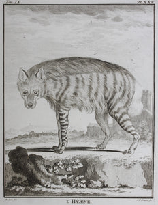 Jacques de Sève, after. l'Hyaene. Engraved by Christian Friedrich Fritzsch. 1767.