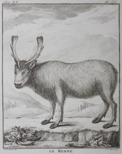 Load image into Gallery viewer, C[lément?]-P[ierre?]  [Marillier?], after. Le Renne. Engraved by Christian Friedrich Fritzsch. 1771.
