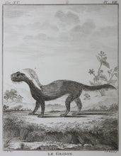 Load image into Gallery viewer, J[ean?]-B[aptiste?] [Oudry?], after. Le Grison. Engraved by Christian Friedrich Fritzsch. 1771.
