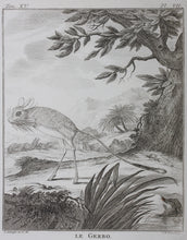 Load image into Gallery viewer, Jurriaan Andriessen, after. Le Gerbo. Engraved by Christian Friedrich Fritzsch. 1771.
