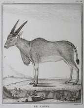 Load image into Gallery viewer, Le Canna. Engraved by William Tringham. 1785.
