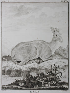 Buvée, after. L'Elan. Engraved by Christian Friedrich Fritzsch. 1769.