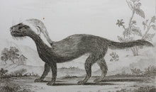 Load image into Gallery viewer, J[ean?]-B[aptiste?] [Oudry?], after. Le Grison. Engraved by Christian Friedrich Fritzsch. 1771.

