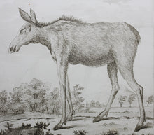 Load image into Gallery viewer, L&#39;Orignal. Engraved by Christian Friedrich Fritzsch. 1771.
