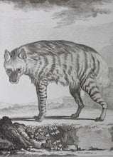 Load image into Gallery viewer, Jacques de Sève, after.  L&#39;Hyaene. Engraved by Pierre Charles Baquoy. 1761.
