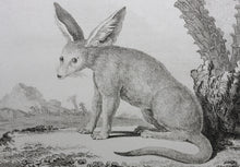 Load image into Gallery viewer, Jacques de Sève, after. L&#39;Animal Anonyme. Engraved by Gerard Rene Le Villain. 1776.
