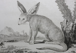 Jacques de Sève, after. L'Animal Anonyme. Engraved by Gerard Rene Le Villain. 1776.