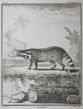 Load image into Gallery viewer, Jacques de Sève, after. Le Zibet. Engraved by Pierre-Etienne Moitte. 1761.
