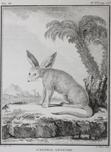 Load image into Gallery viewer, Jacques de Sève, after. L&#39;Animal Anonyme. Engraved by Gerard Rene Le Villain. 1776.
