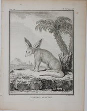 Load image into Gallery viewer, Jacques de Sève, after. L&#39;Animal Anonyme. Engraved by Gerard Rene Le Villain. 1776.
