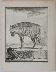 Jacques de Sève, after.  L'Hyaene. Engraved by Pierre Charles Baquoy. 1761.
