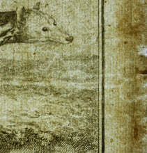 Load image into Gallery viewer, Jacques de Sève, after. Le Zibet. Engraved by Pierre-Etienne Moitte. 1761.
