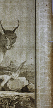 Load image into Gallery viewer, Jacques de Sève, after. Le Caracal de Bengale. Engraved by Louis Le Grand. 1776.
