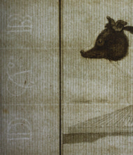 Load image into Gallery viewer, Jacques de Sève, after. Le Chien d&#39;Islande. Engraved by Christian Friedrich Fritzsch. 1766.
