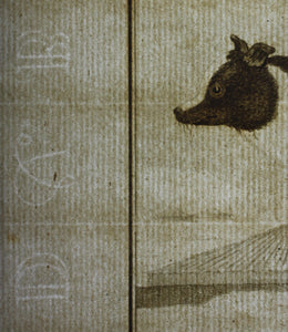 Jacques de Sève, after. Le Chien d'Islande. Engraved by Christian Friedrich Fritzsch. 1766.