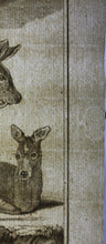 Load image into Gallery viewer, Le Musc. Engraved by O. de Vries. 1785.
