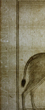 Load image into Gallery viewer, Le Canna. Engraved by William Tringham. 1785.
