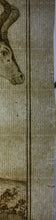 Load image into Gallery viewer, Le Camaa ou le Bubale. Engraved by William Tringham. 1785.

