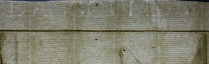 Ritbok Femelle. Engraved by William Tringham. 1785.