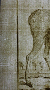L'Orignal. Engraved by Christian Friedrich Fritzsch. 1771.