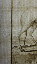 Load image into Gallery viewer, Buvée, after. La Brebis des Indes. Engraved by Christian Friedrich Fritzsch. 1769.
