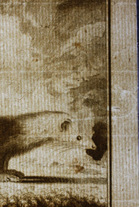 Jacques de Sève, after. Le Furet Putois. Engraved by Christian Friedrich Fritzsch. 1772.