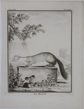 Load image into Gallery viewer, Jacques de Sève, after. La Marte. Engraved by Christian Friedrich Fritzsch. 1772.
