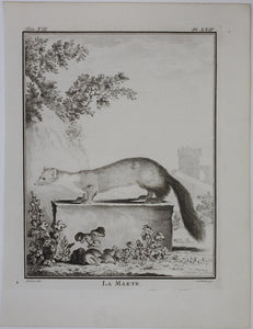 Jacques de Sève, after. La Marte. Engraved by Christian Friedrich Fritzsch. 1772.