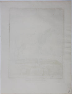 Buvée, after. La Brebis des Indes. Engraved by Christian Friedrich Fritzsch. 1769.