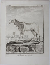 Load image into Gallery viewer, Buvée, after. La Brebis des Indes. Engraved by Christian Friedrich Fritzsch. 1769.
