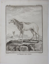 Load image into Gallery viewer, Buvée, after. La Brebis des Indes. Engraved by Christian Friedrich Fritzsch. 1769.
