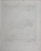 Load image into Gallery viewer, Le Gnou. Engraved by B. de Bakker. 1771.
