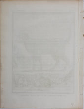 Load image into Gallery viewer, Jacques de Sève, after. Le Chat Sauvage de la Nouvelle Espagne. Engraved by Droyer. 1776.
