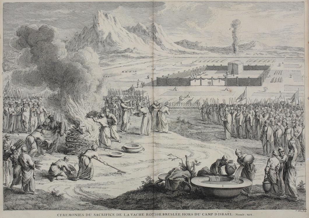 Augustin Calmet. Cérémonies du sacrifice de la vache rousse bruslée hors du camp d'Israël.  Engraving. 1728.